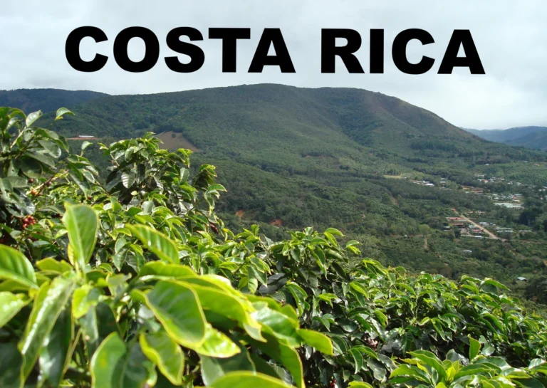 Coffee from Costa Rica