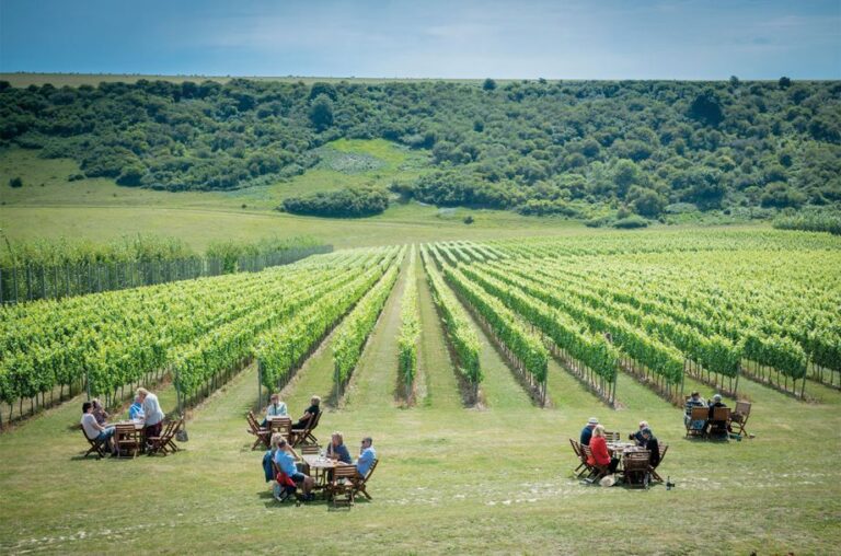 Englands Wine Country