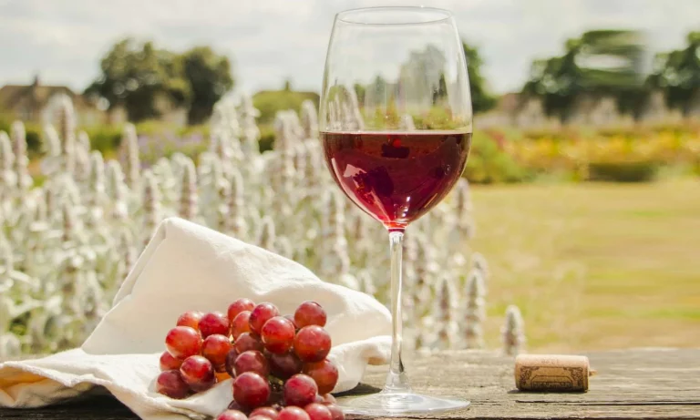 Uncork On Castles & Wine Cruise