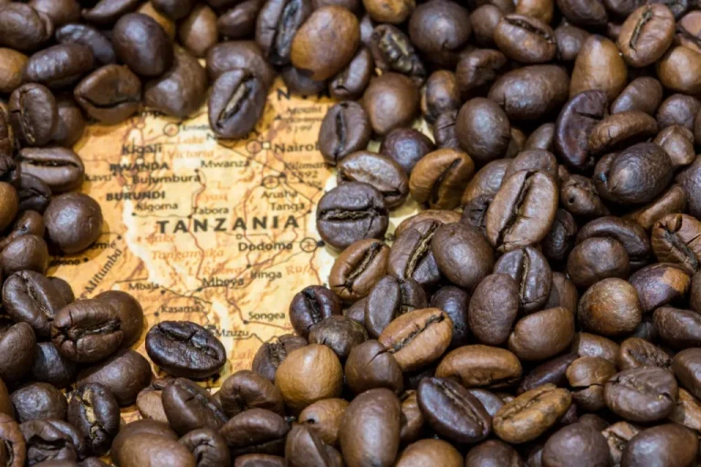 Tanzania Coffee: A Journey Through Rich Flavors and Vibrant Culture